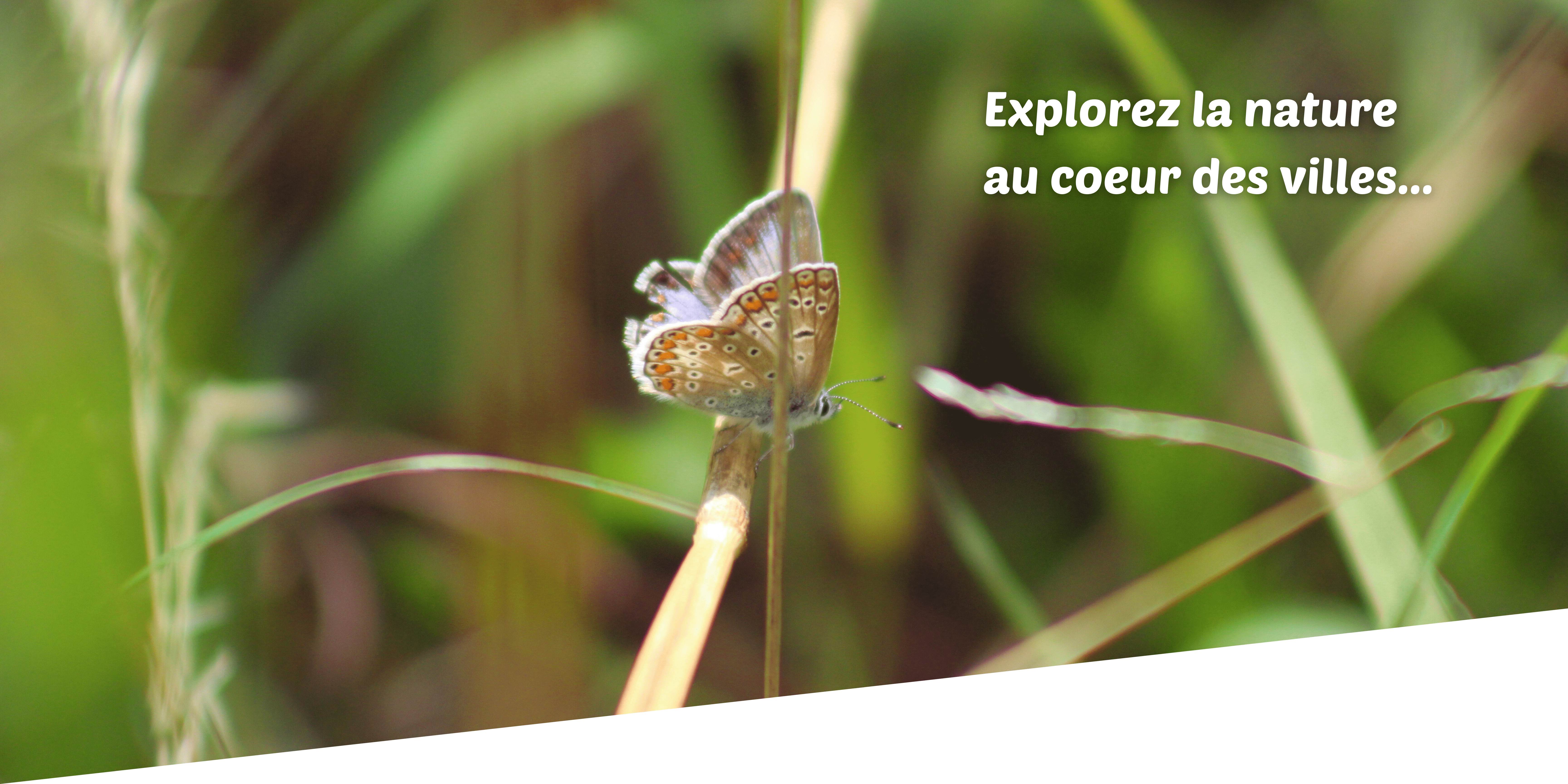 accueil1